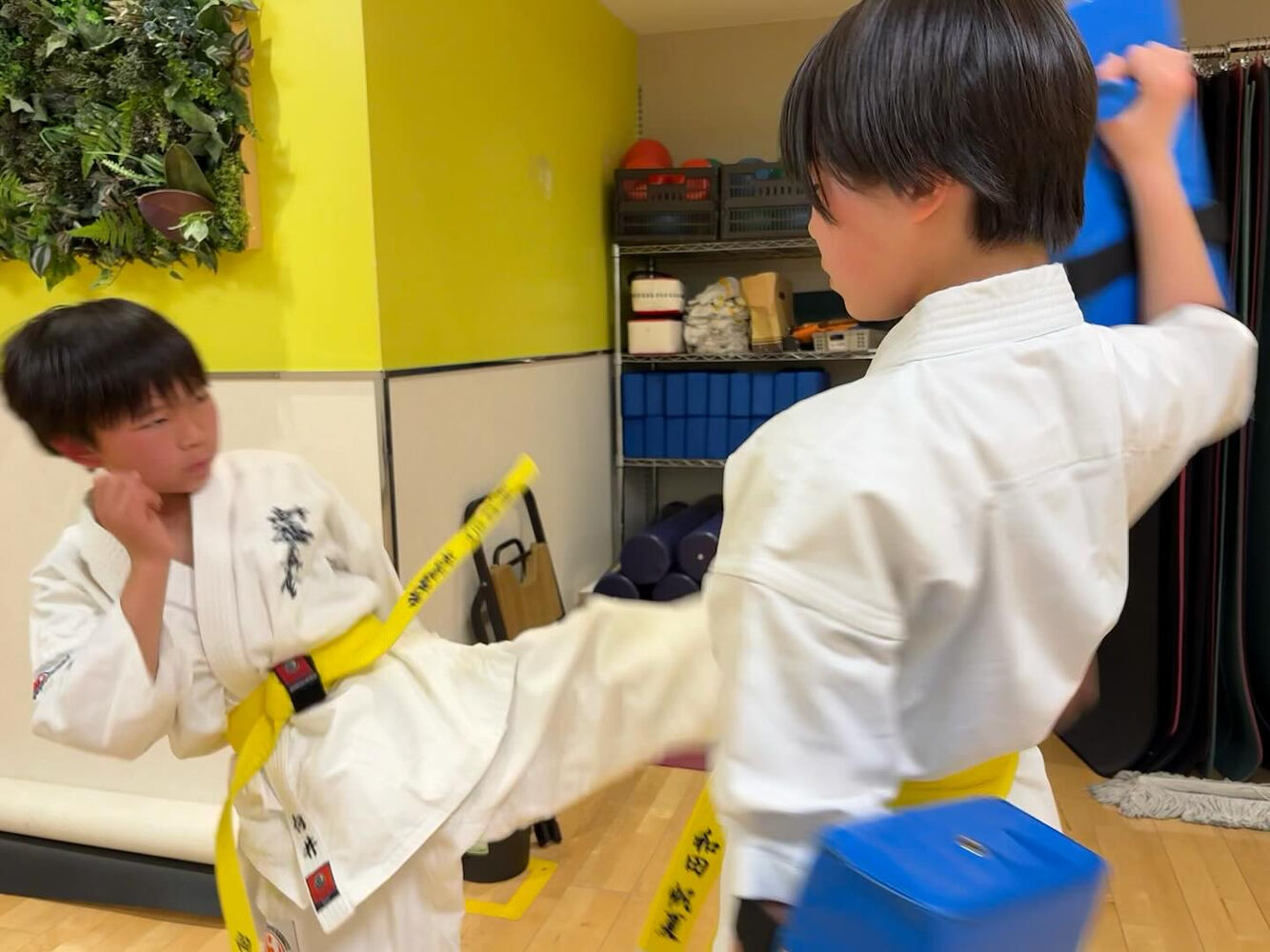 ブログ画像