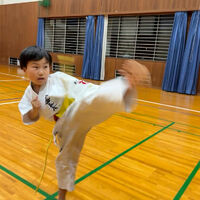 ブログ画像