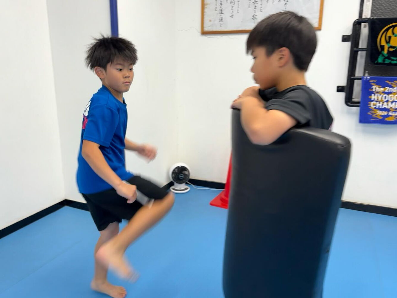 ブログ画像