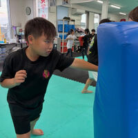 ブログ画像