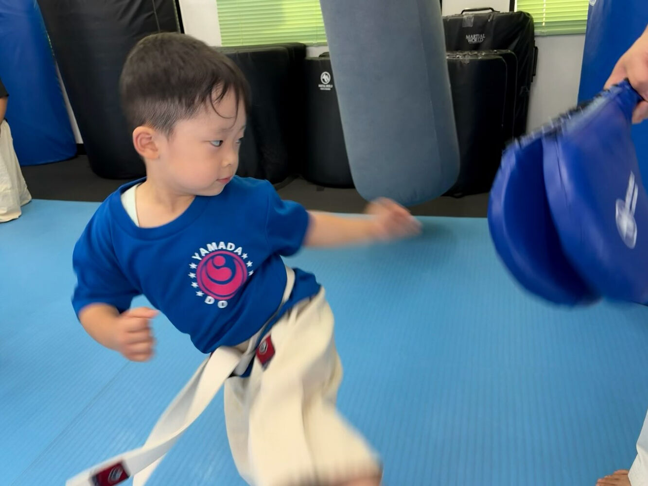 ブログ画像