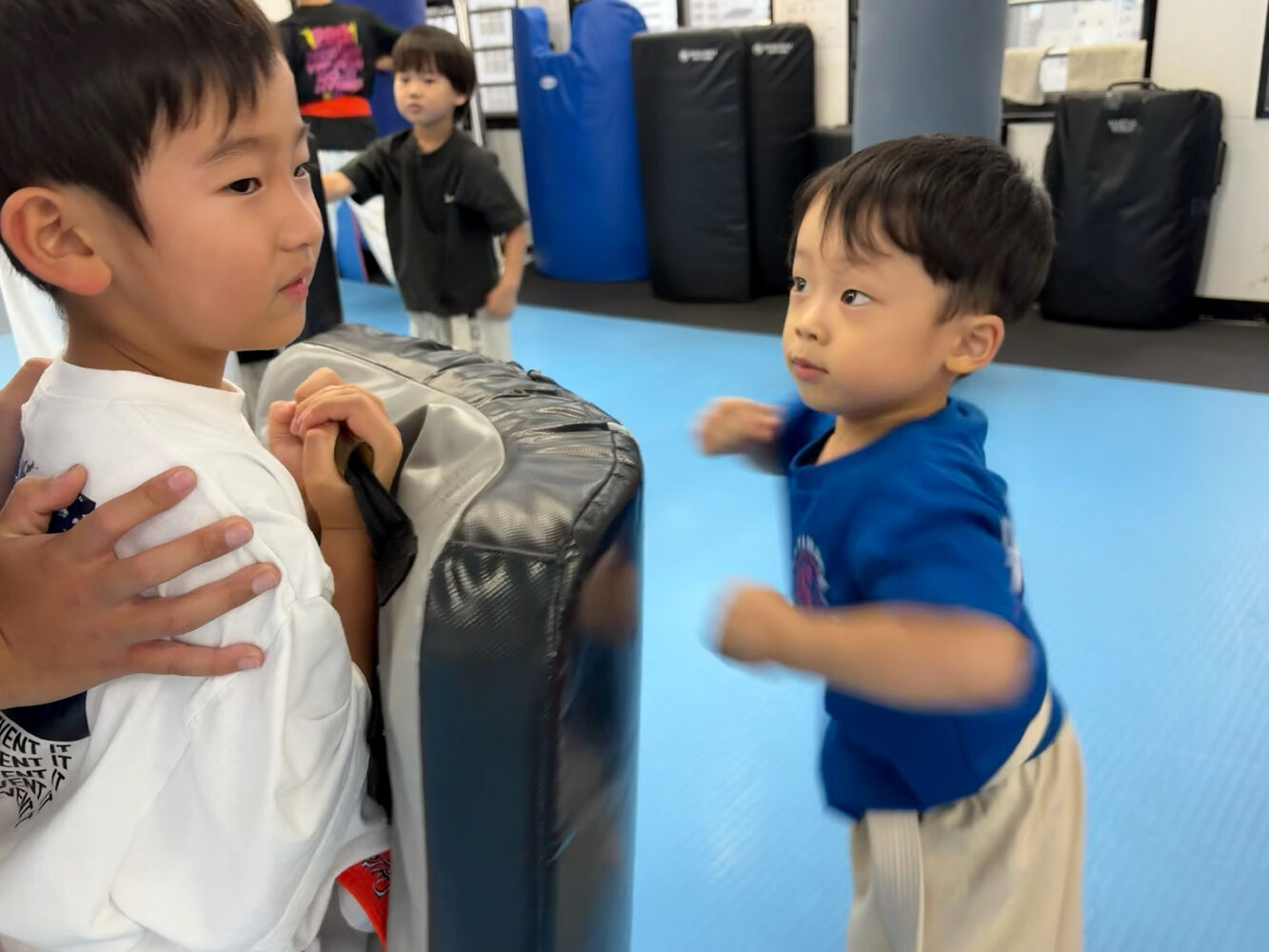 ブログ画像